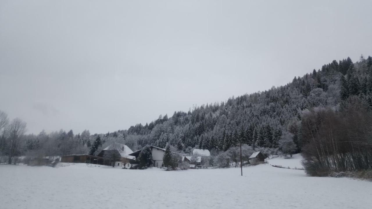 Nockalm Cottage 巴德小基希海姆 外观 照片